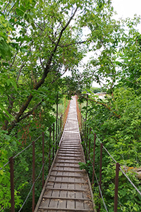 Кай Кью, подвесной мост под кроной деревьев