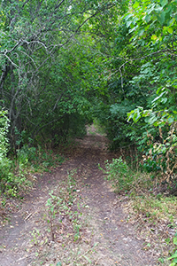 Кай Кью, тропа